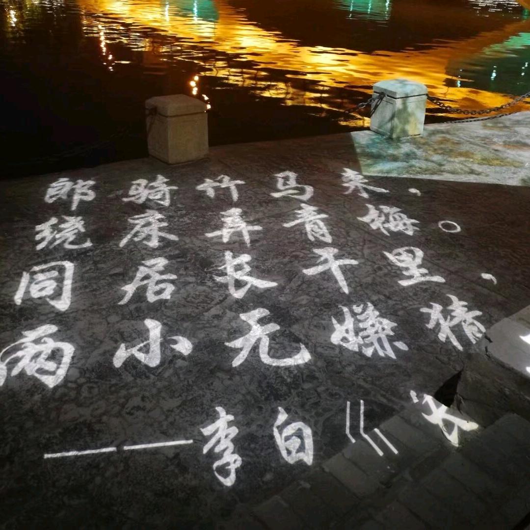 去留少意