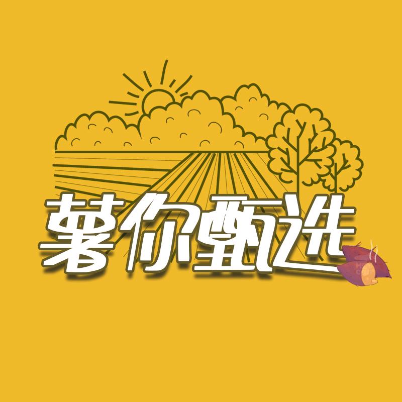 薯你甄选