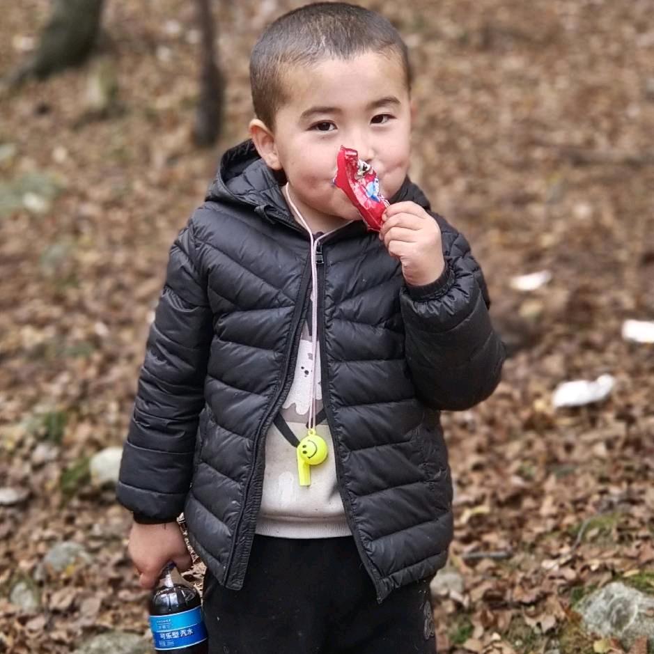 马先生……… 八卦城