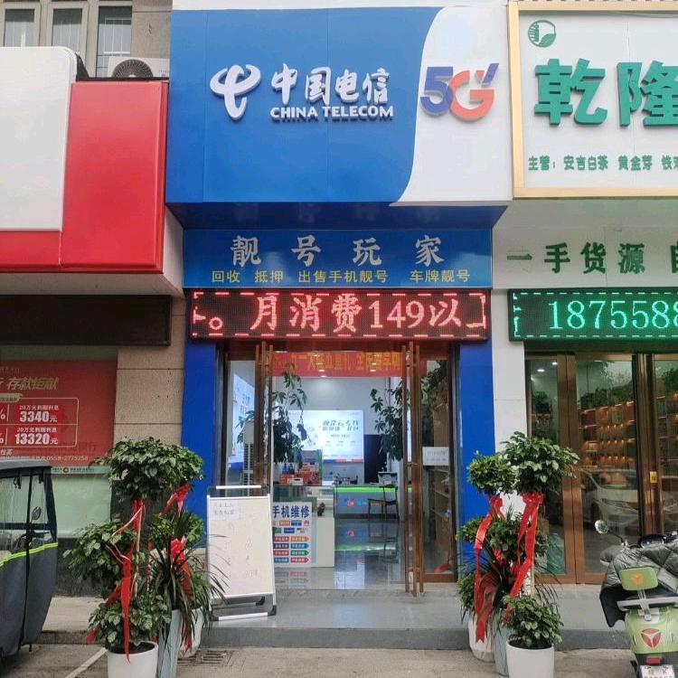 阜阳电信砖家