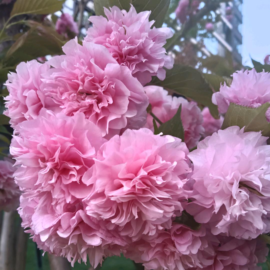 姐的霸气你不懂