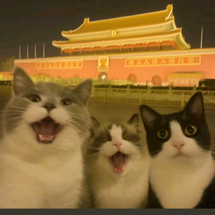小苹果