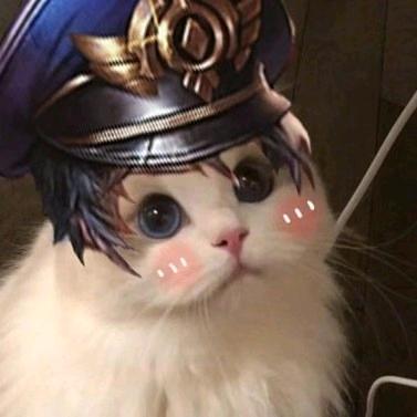 狼