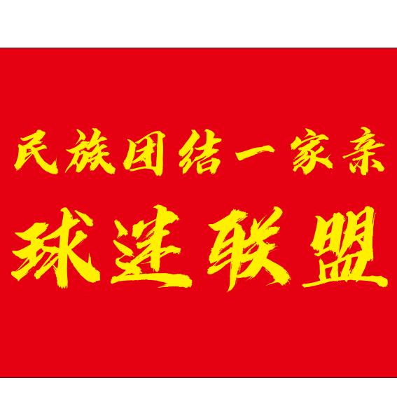 爱看球的水电工