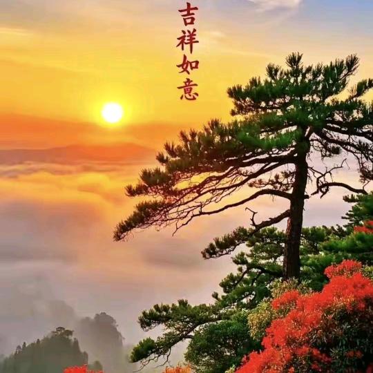 心有阳光☀️☀️