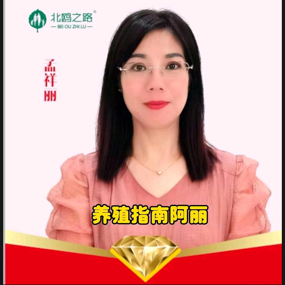 阿丽聊养鸡