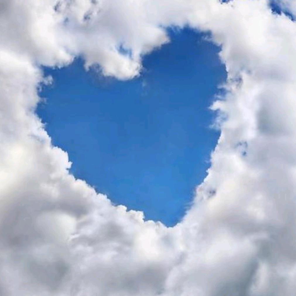 霞姐和她的四小将