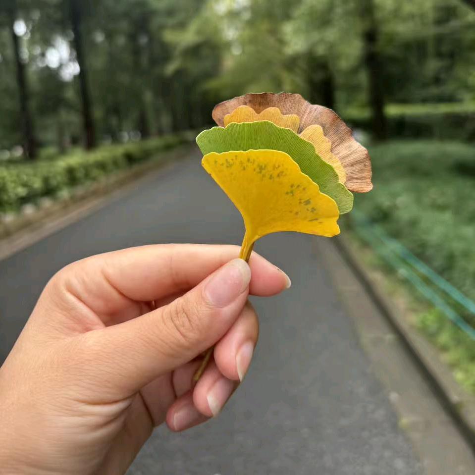 半边笑颜