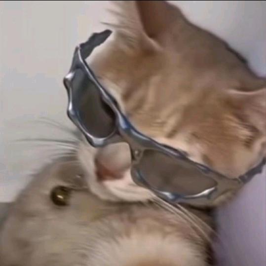 蘇