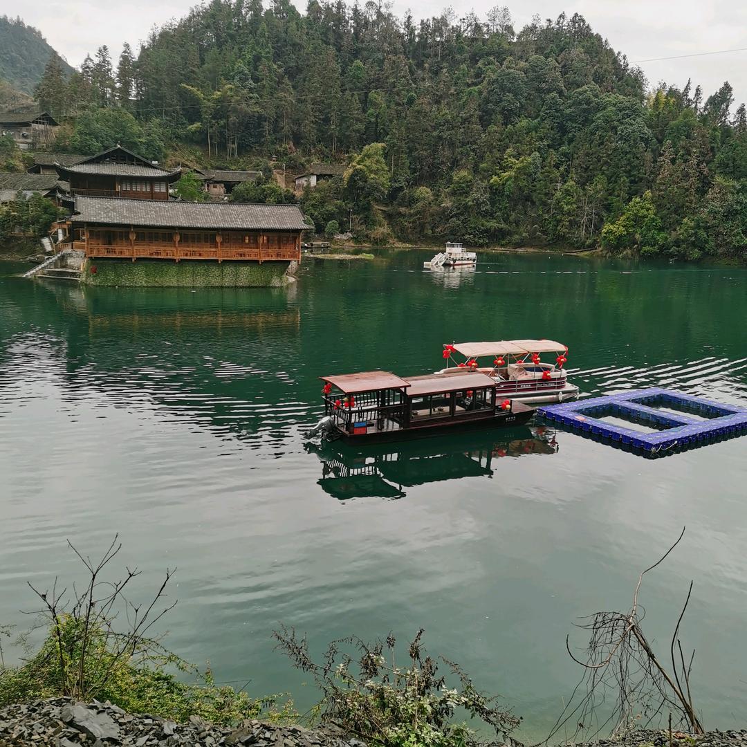 心凉了，怎么捂热💔