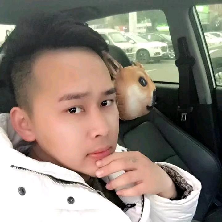 ✨ོྋ⁽ଘ望ཽ🐾