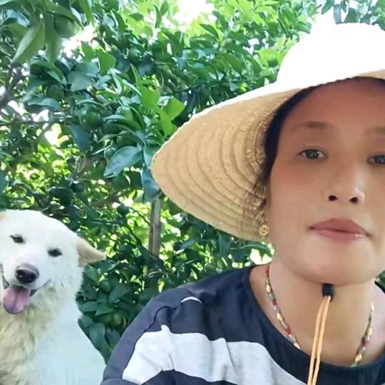 受伤的女人