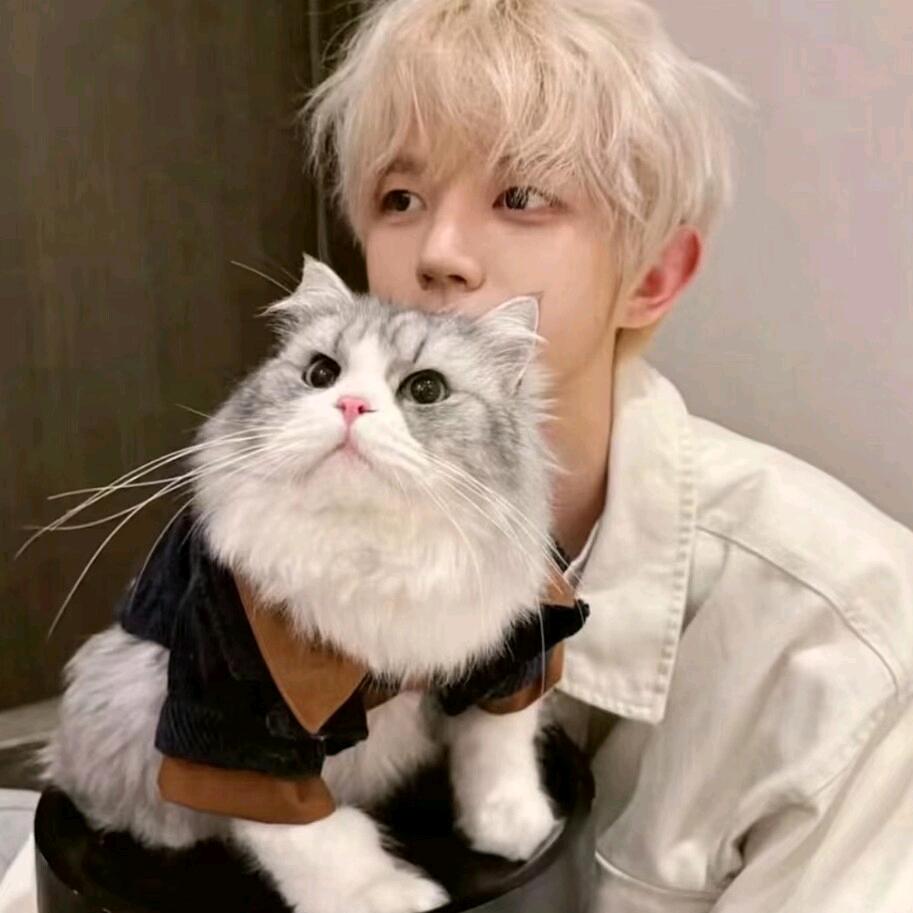 ᰔᩚ.惊鸿宴（燎原白斩）