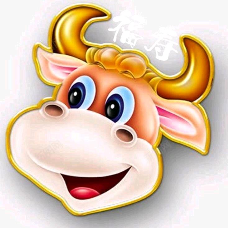 知天命1🔥‍🔥‍🔥