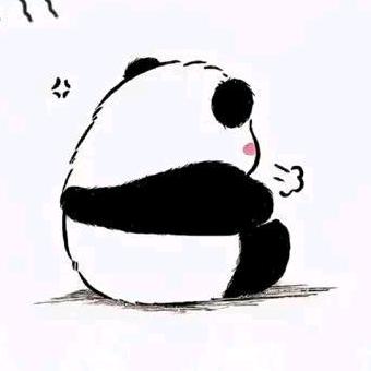 熊猫综艺