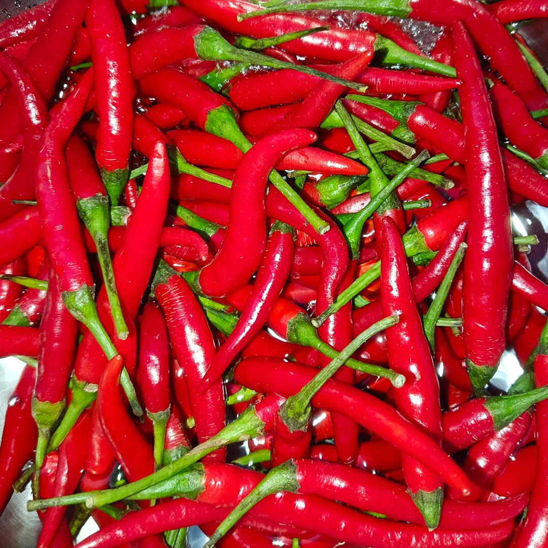 我一直在你身边