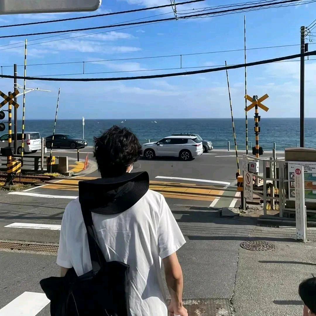 山海与锦鲤