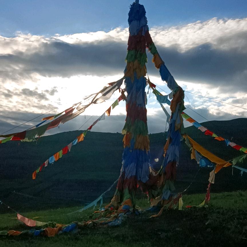 任性包容
