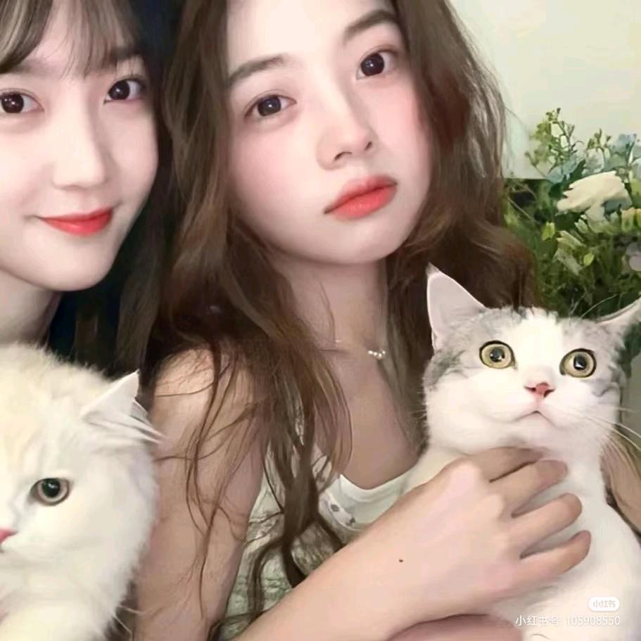 曾