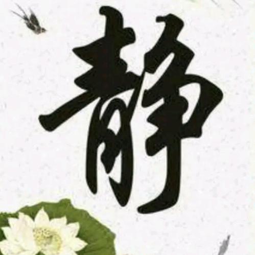 桐霄剪辑