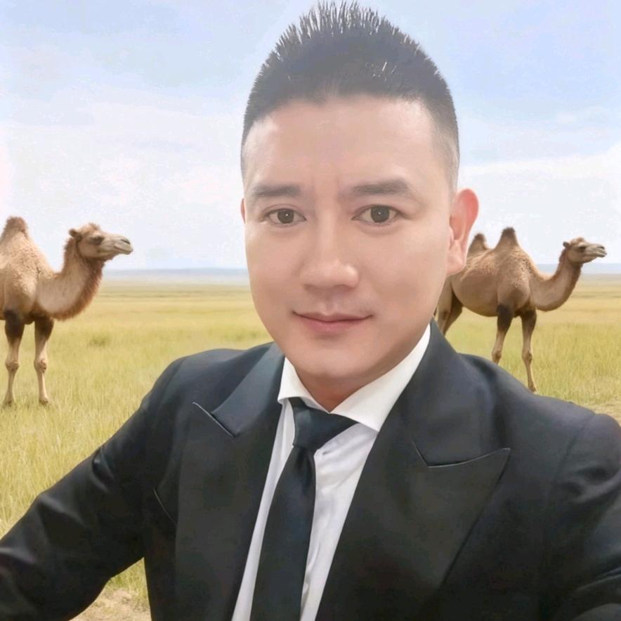 🇨🇳天山来客🐪