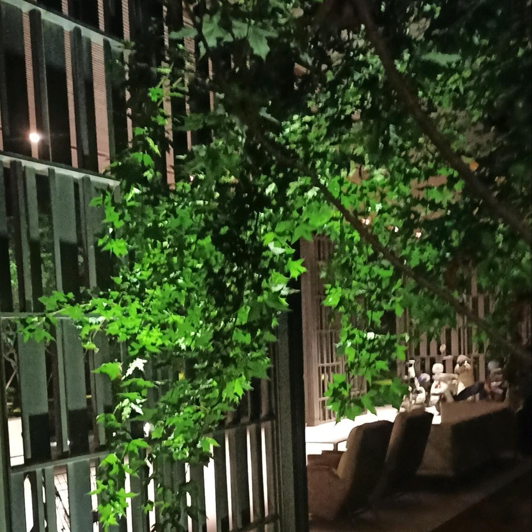 鑫地