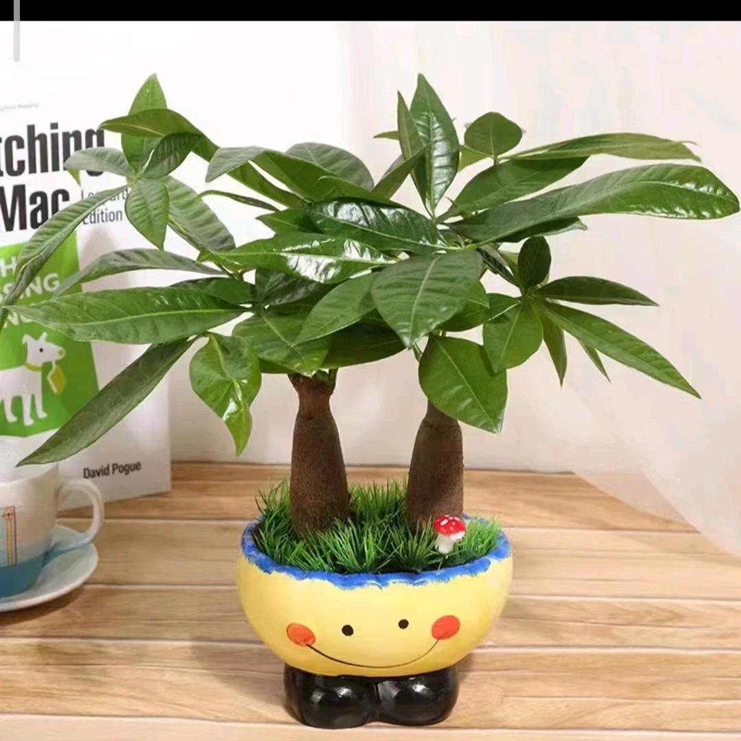 🌜善意💐🌛