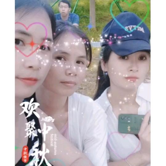 药材种植