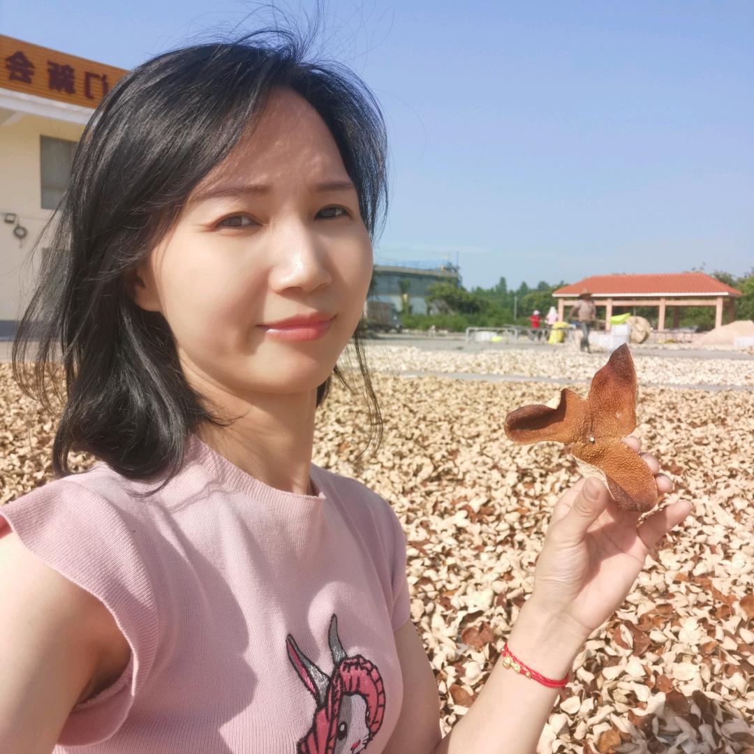 陈皮～小新新
