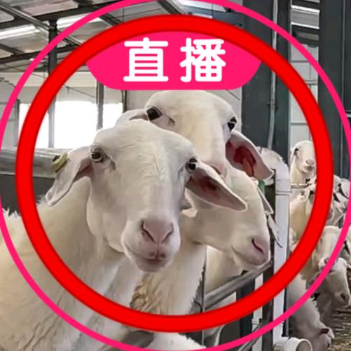 祖宗智慧我来湿走