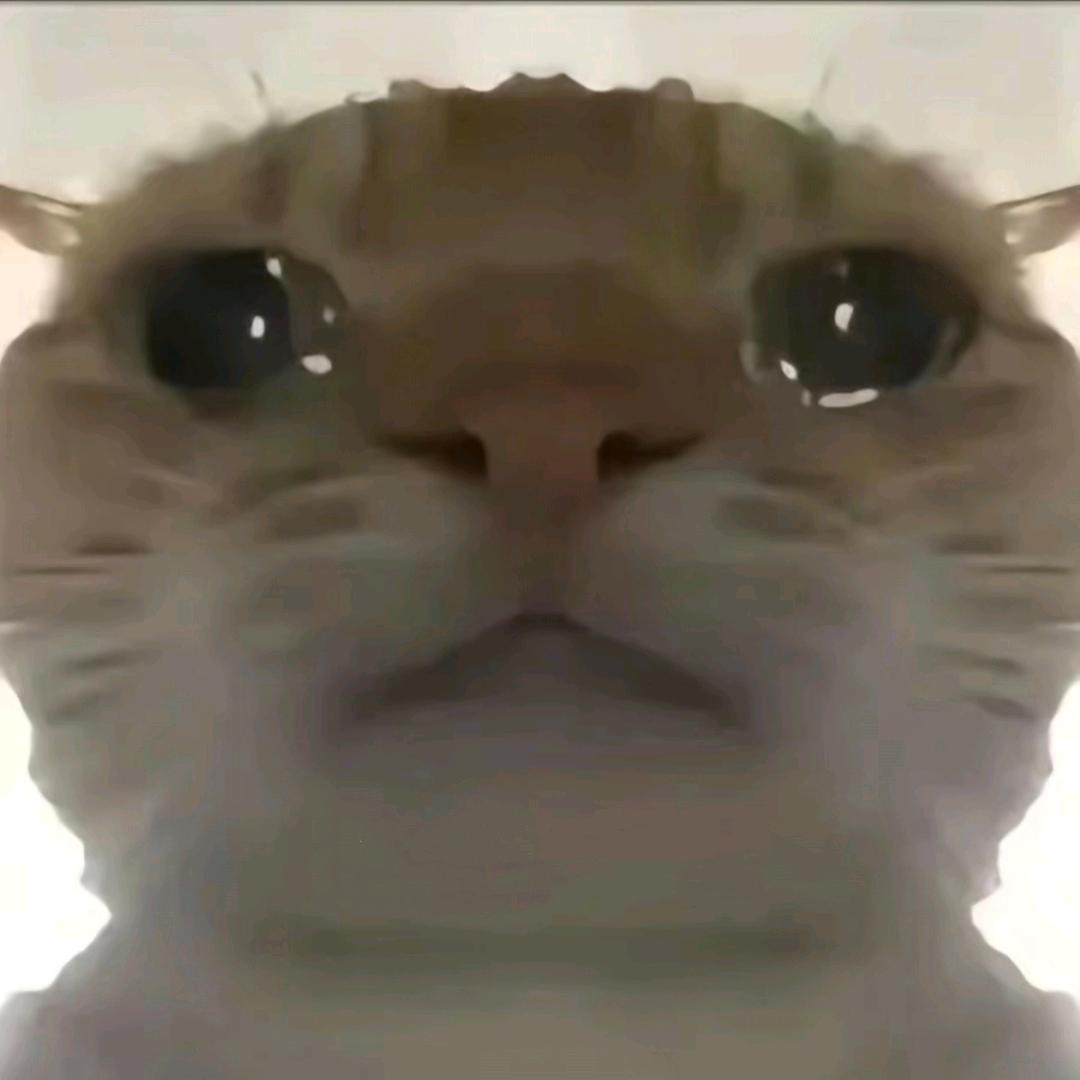 我不是柒树
