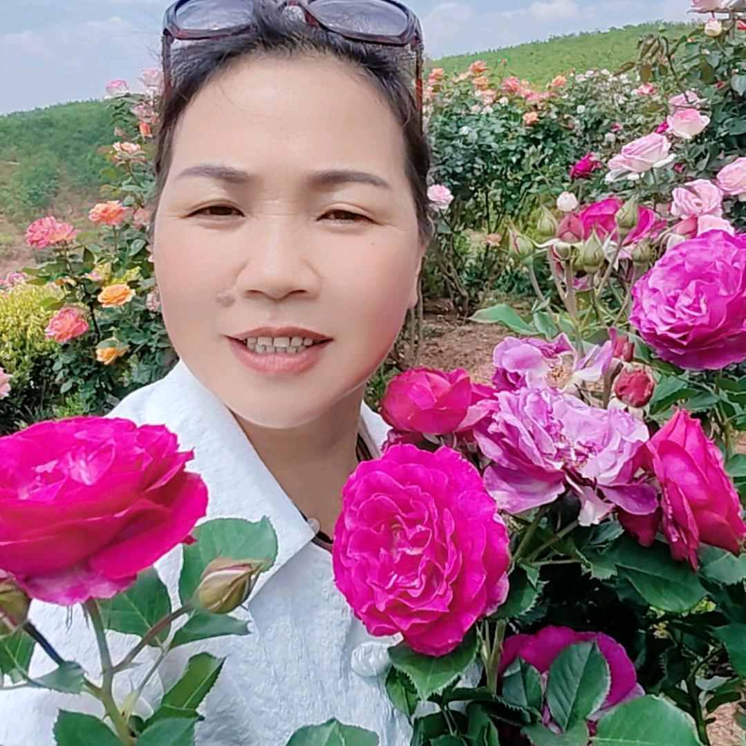 秀英姐
