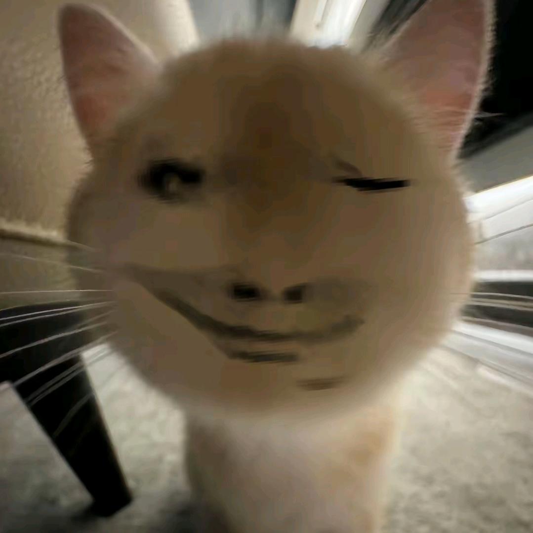 旺仔大乔