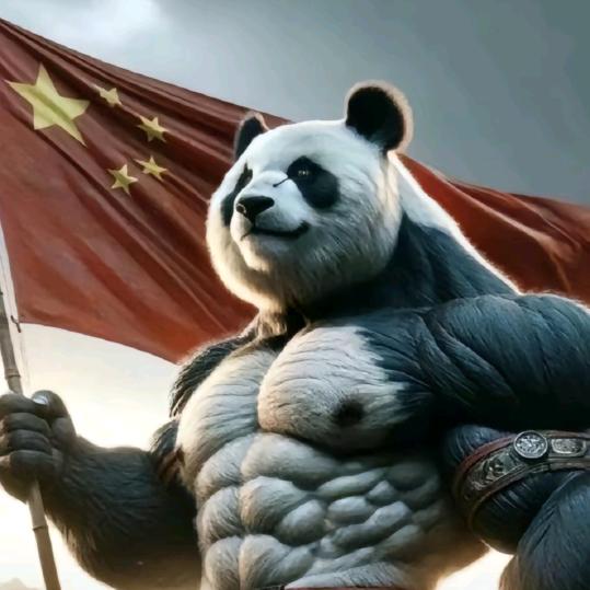 北极光药师wargame