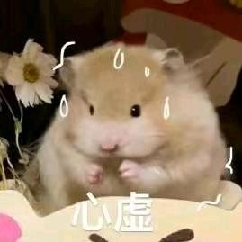 不如诗酒趁年华
