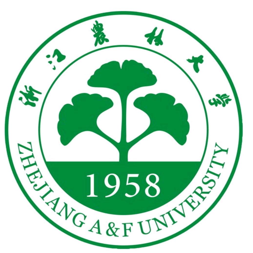 浙农林CPA精英实验班～任老师