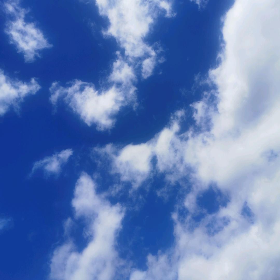 晓伟