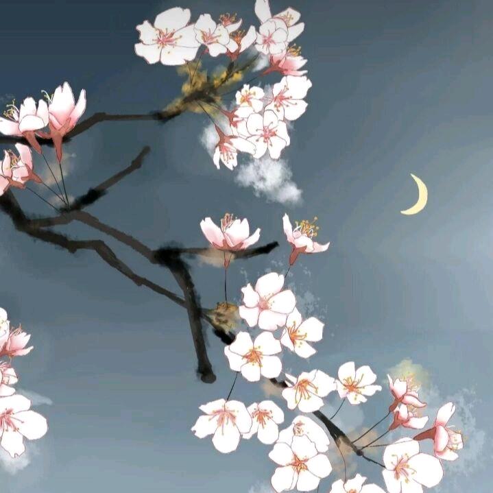 难想工作室—白雍