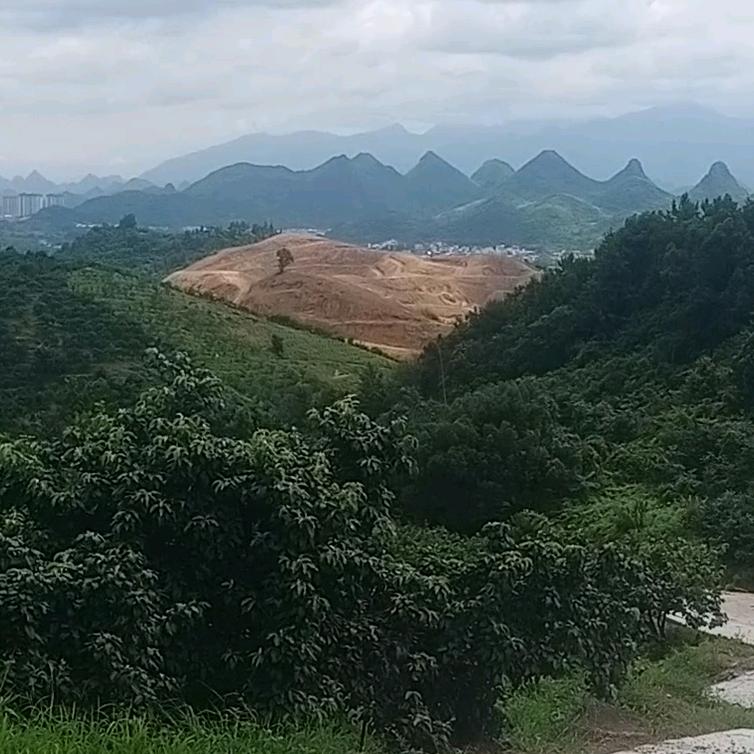 青春不散场