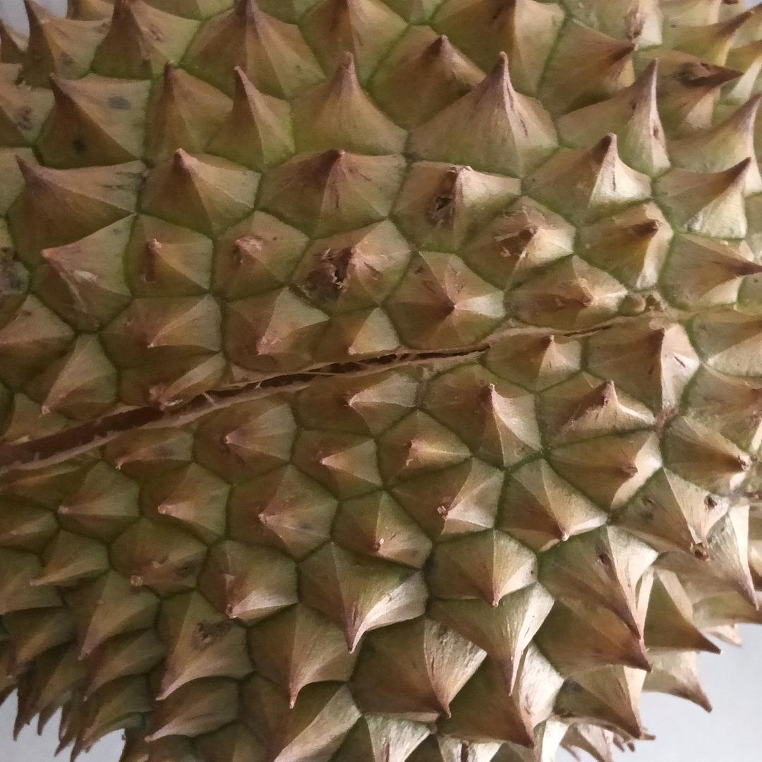 @娟姐[拒绝连赞]