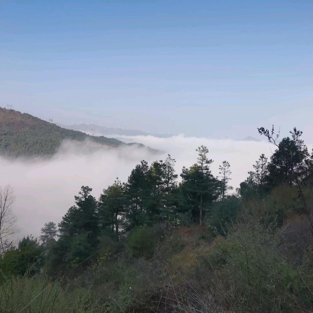 💕老表来了💞