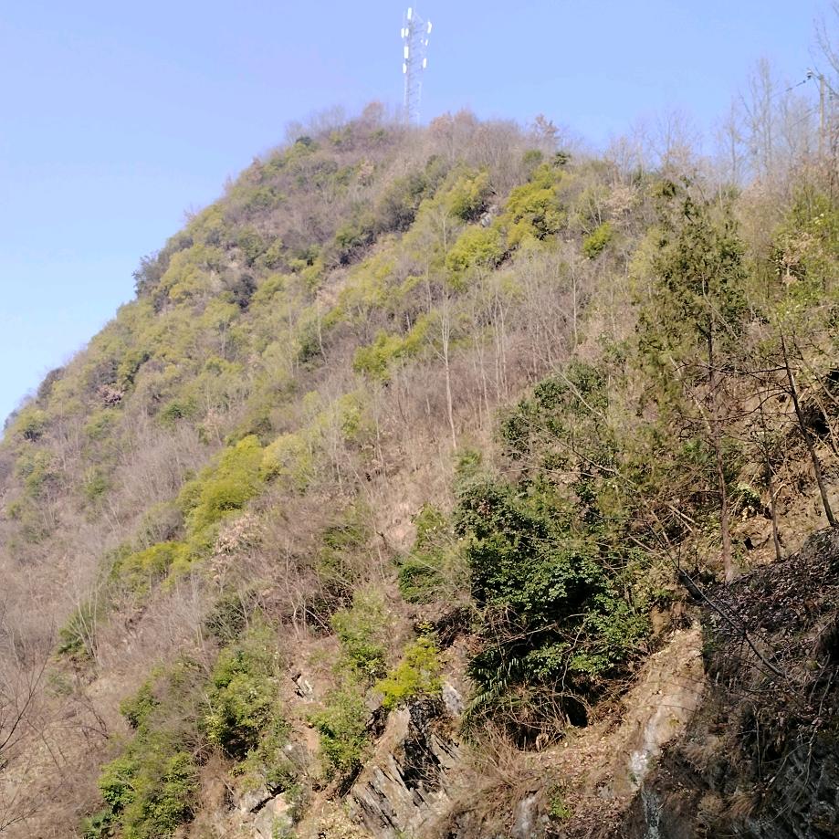 领悟