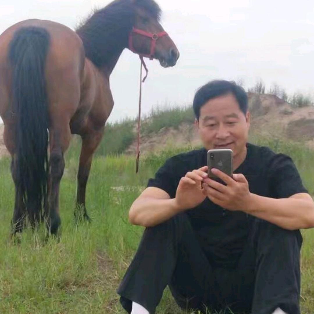 是龙就要腾飞