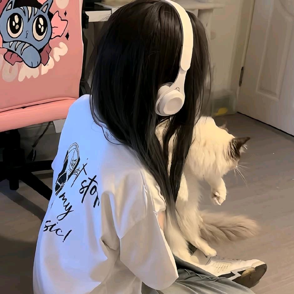 简之言