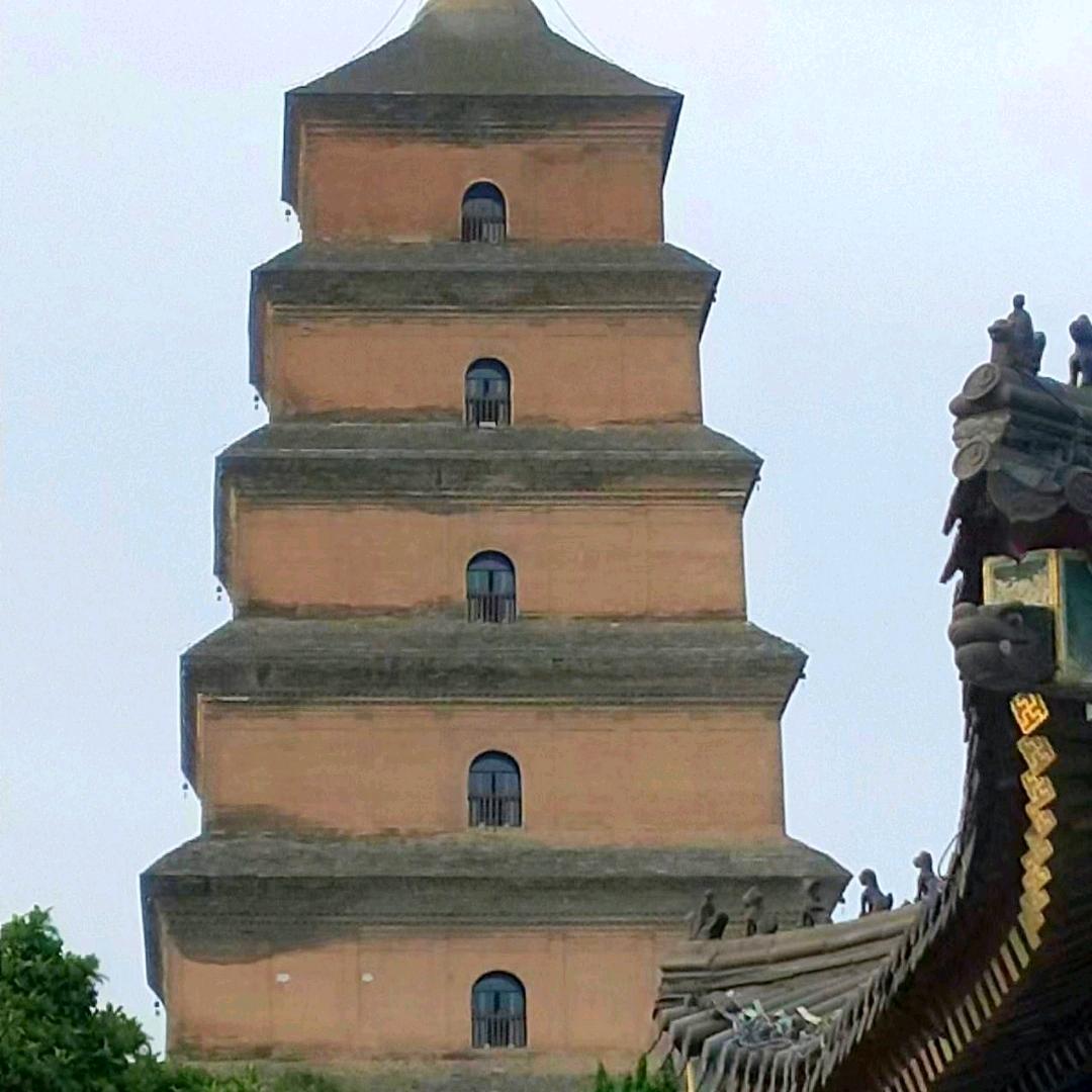 转身而过