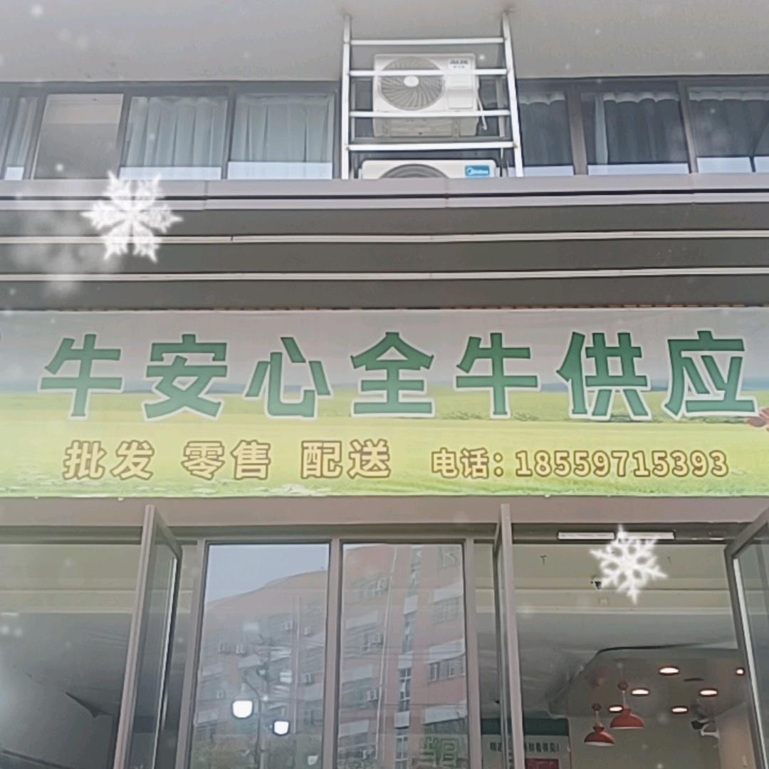 牛安心全牛供应商（小黄）
