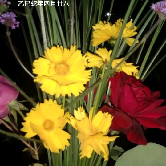 🌈杨扬🌈👩‍❤️‍👨🇻🇳得亿