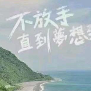 匀速之林