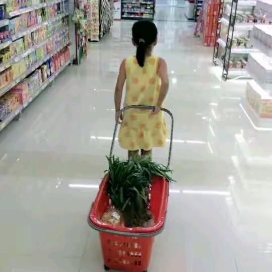 小铭铭