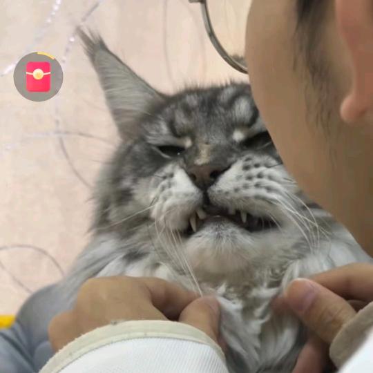 ✨怪🍒怪🍒鸽🎁